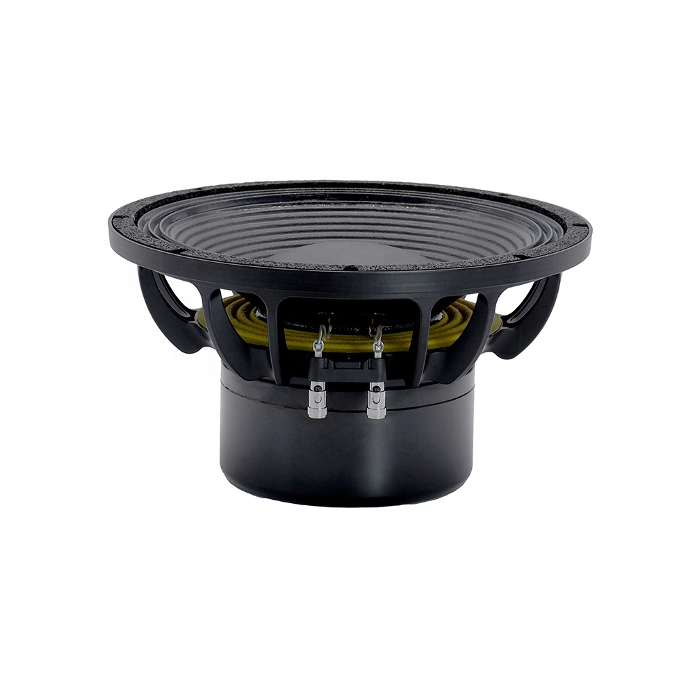 12DS Pro Audio Equipment 12''  - Audio & Music Settings Xbox One ulasan dan harga